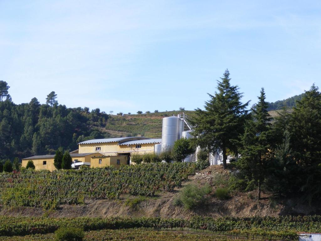 Solar Quinta Da Portela - Douro Santa Marta de Penaguião Extérieur photo
